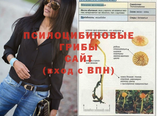 спиды Абаза