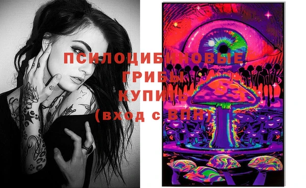 спиды Абаза